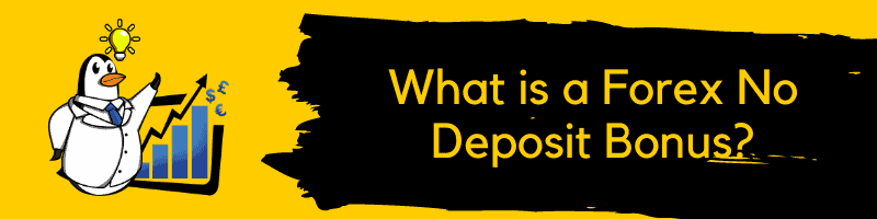 What is a Forex No Deposit Bonus