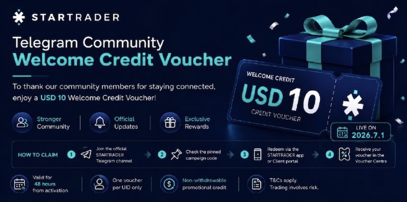 XM Forex Penguin