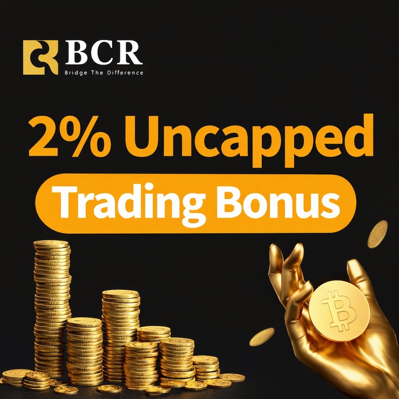 Start the New Year with BCR: 2% Cashback for BVI Standard & Elite Traders