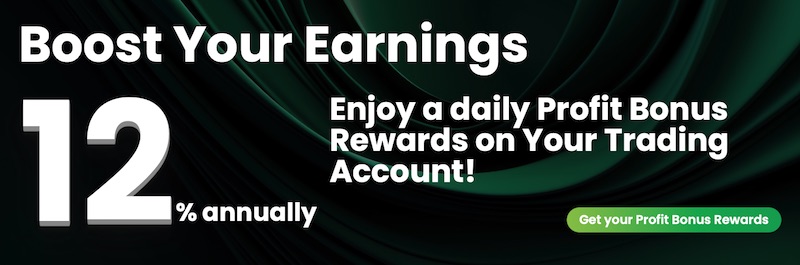 DB Investing Continues 12% Annual Profit Bonus Rewards Program with Daily Crediting on Idle Trading Funds