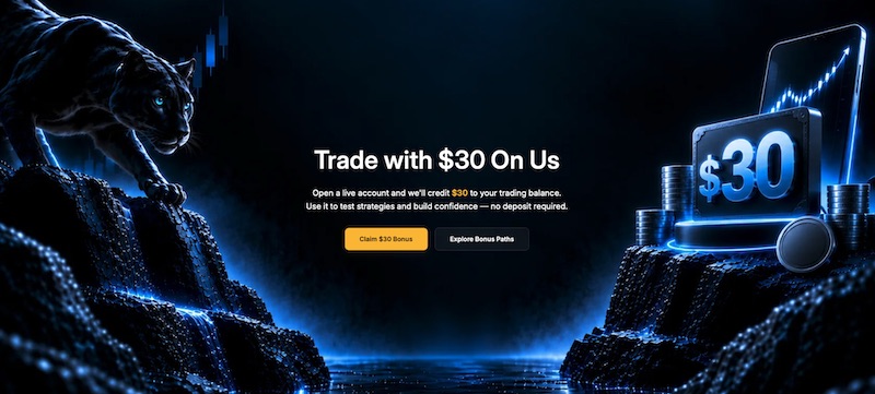 XM Forex Penguin